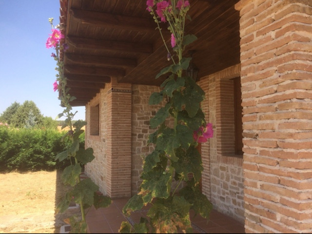 CHALET INDEPENDIENTE EN ALBA DE TORMES